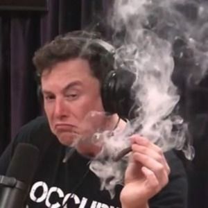 Meet your Posher, Benjamin